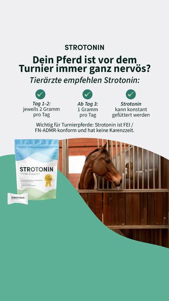 Endlich mehr Entspannung für dein Pferd