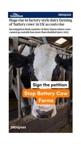 Stop Battery Cow Farming