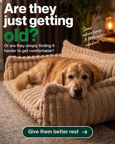 Made for their older years
