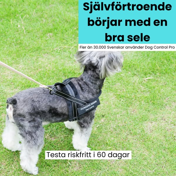 Dags att byta ut halsbandet