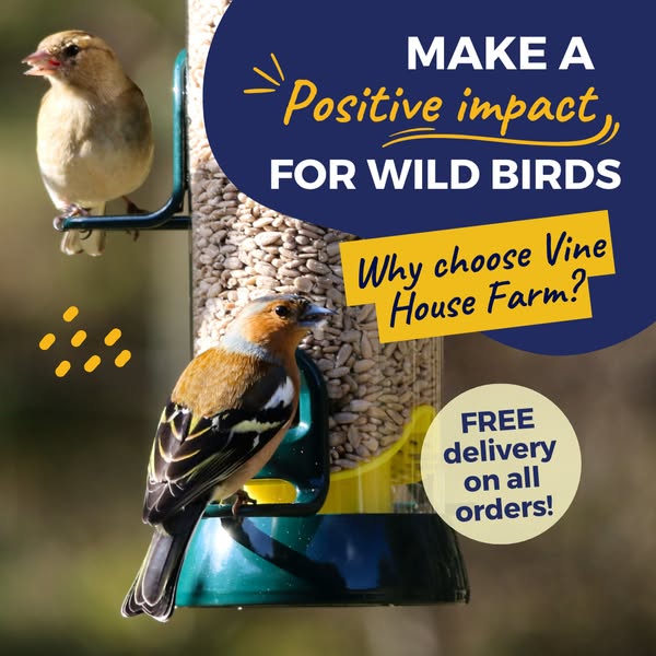 Premium quality bird food