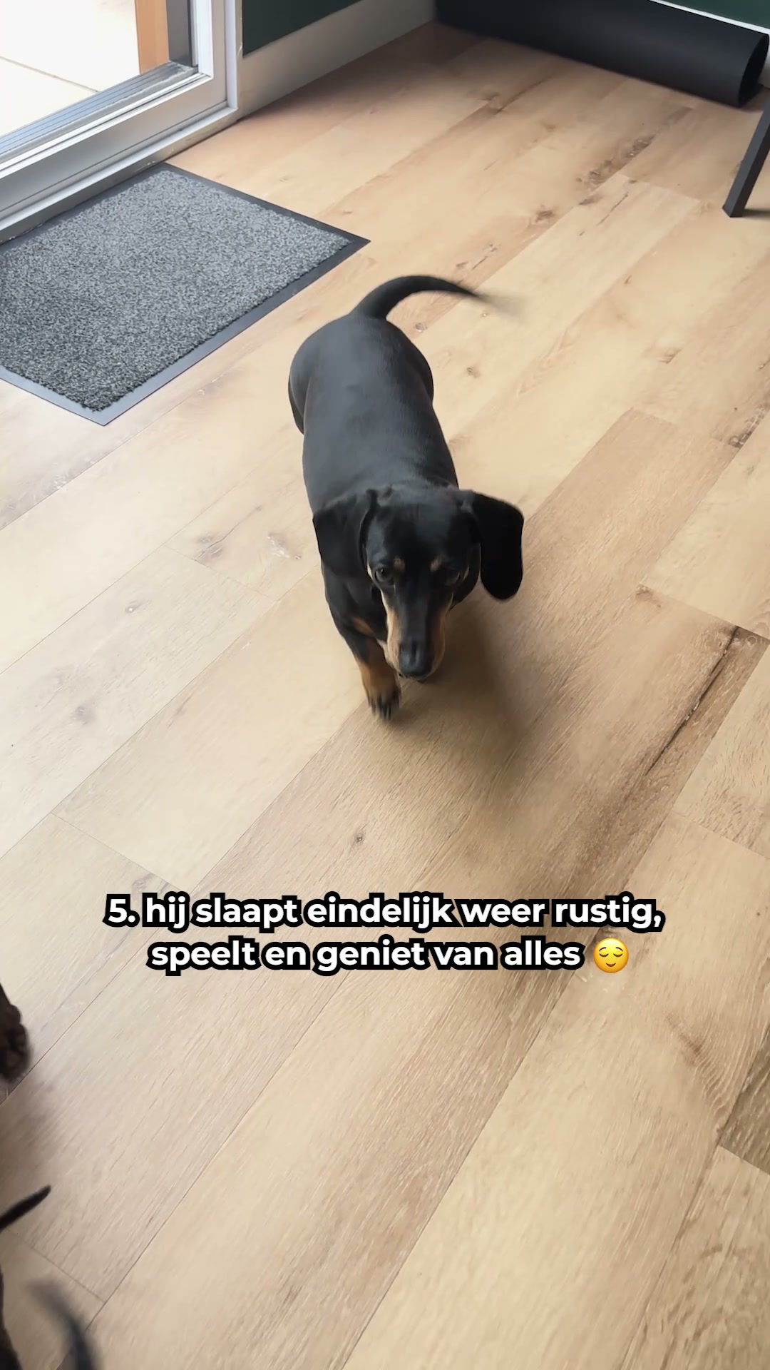 100% natuurlijk, geen medicatie