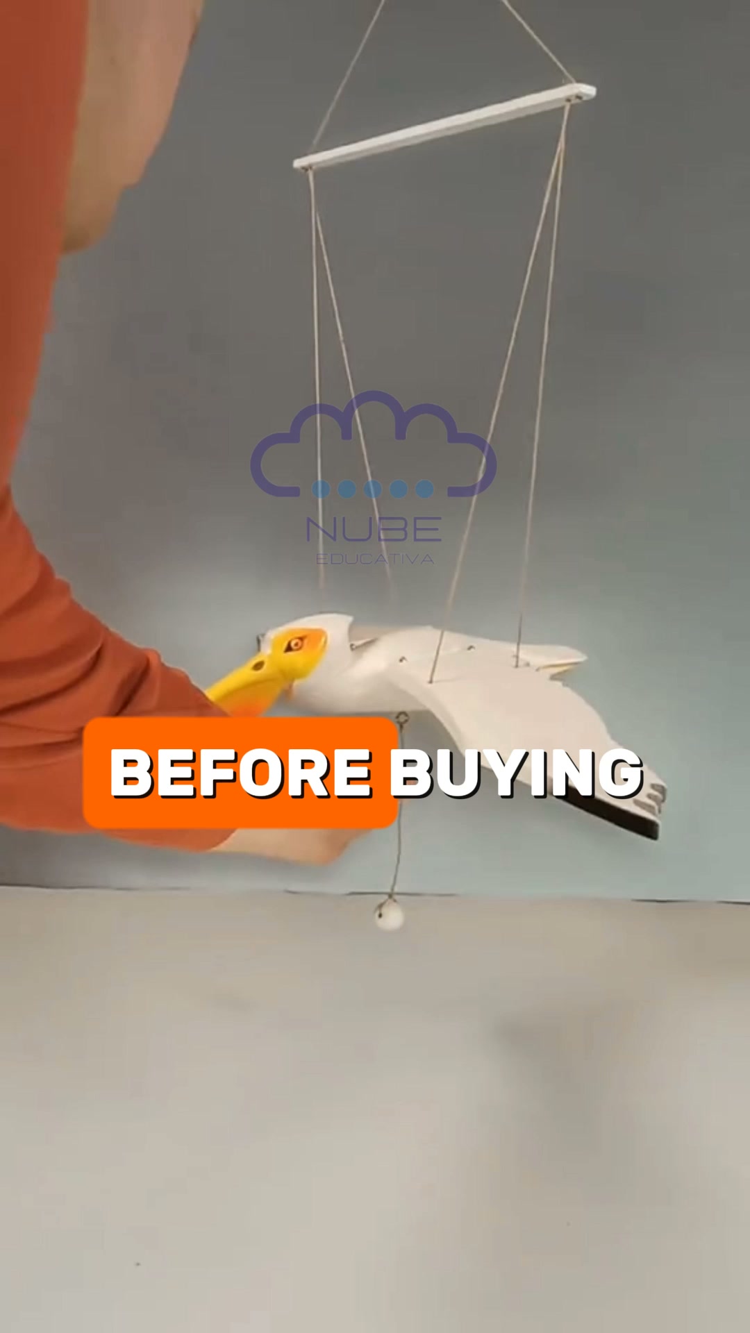 Create Wooden Birds with Full-Size Templates