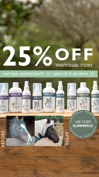 Huge Savings – 25% Off
