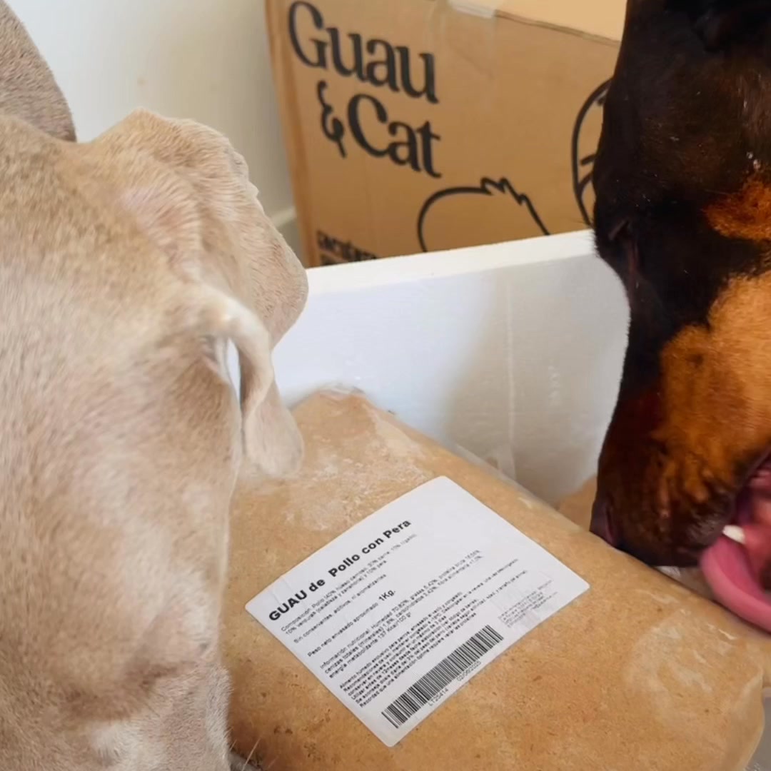 Pelusa y Savanna comen natural y variado con GUAU&CAT. Menús completos, adaptados a cada etapa y necesidad