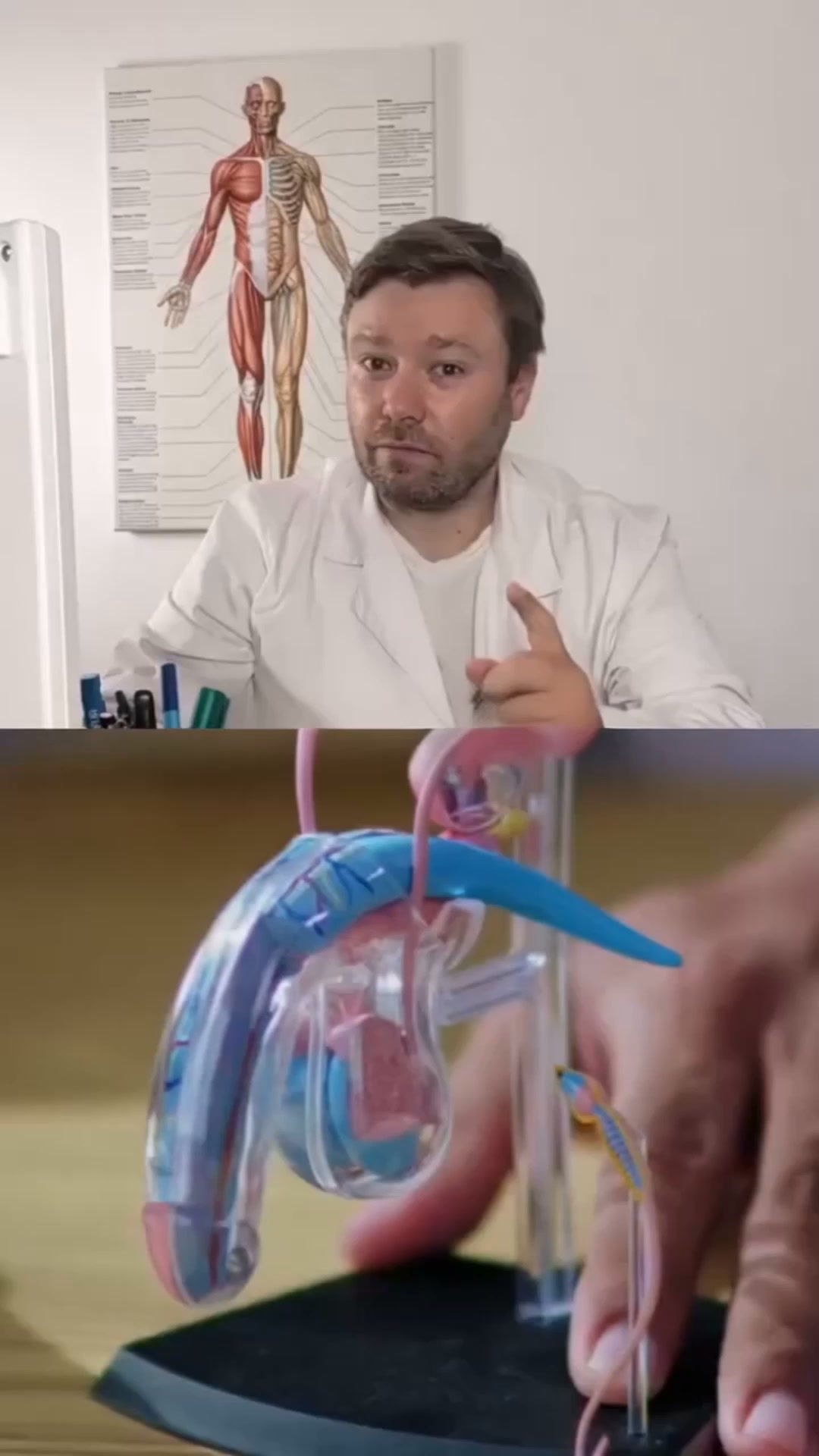 Cette pression intime n’est pas à ignorer