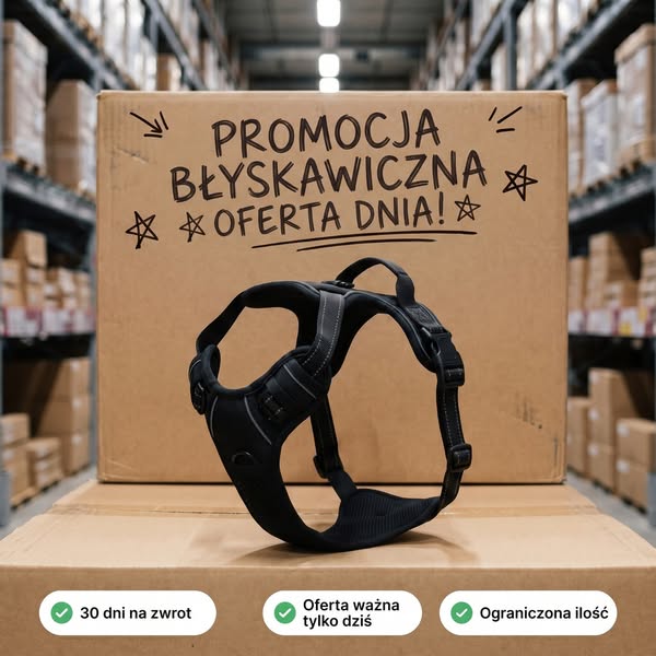 Jak oduczyć psa ciągnięcia na smyczy bez tresury