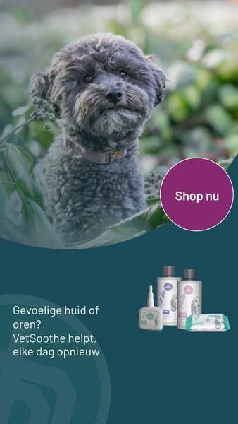 Shop nu bij de online Dierapotheker