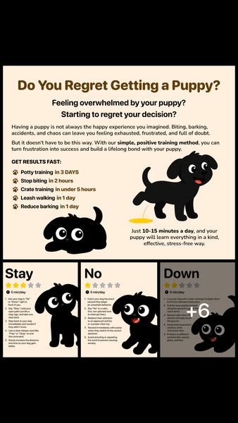 Professional Dog Training Made Simple