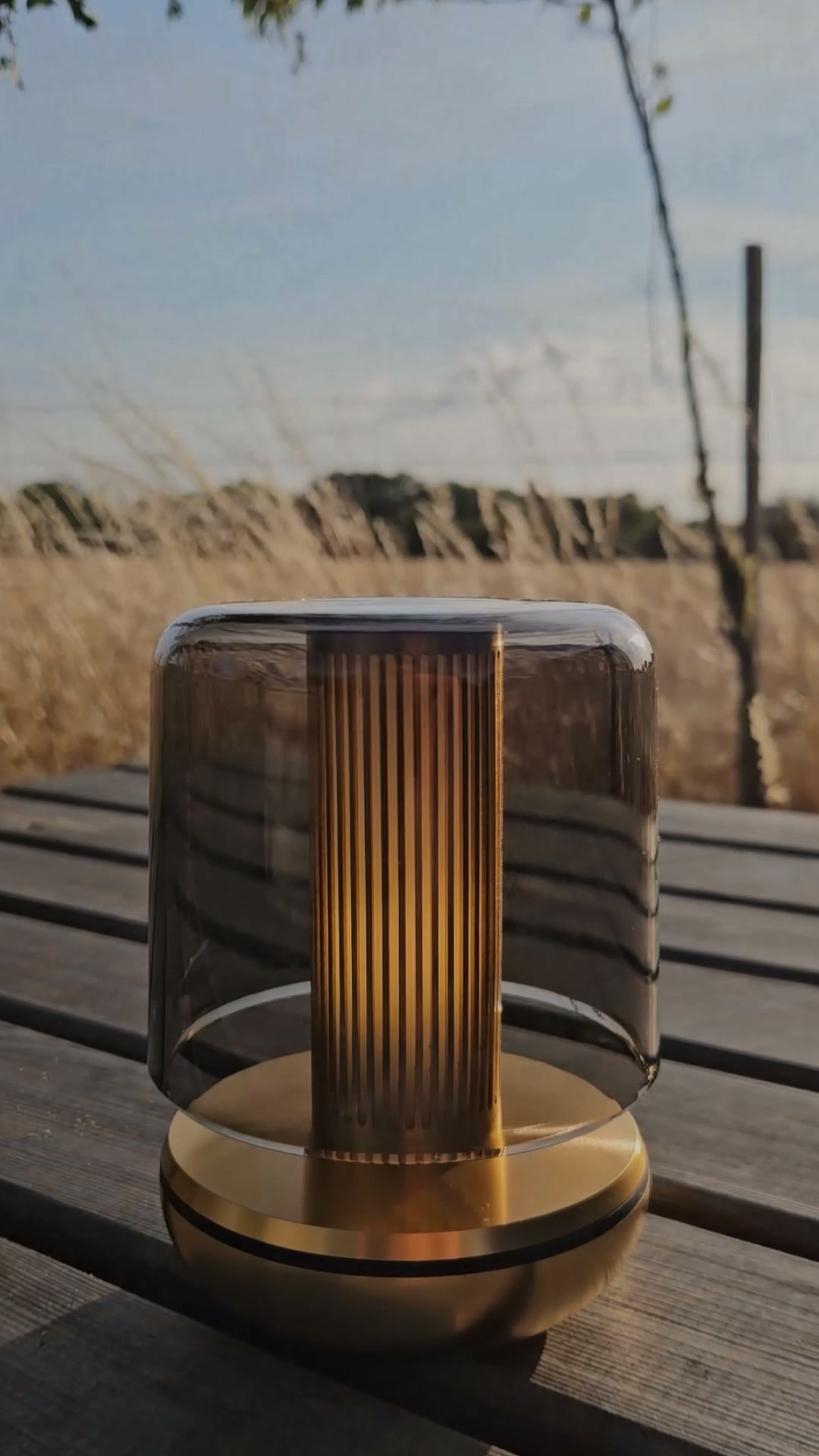 Discover Portable, Rechargeable Table Lamps