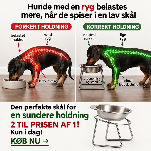 Smid plastikken ud. Opgrader spisetiden.