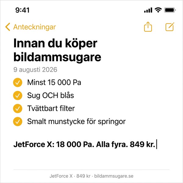 Allt du bör kräva av en bildammsugare
