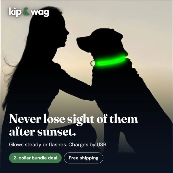 Never Lose Sight of Them