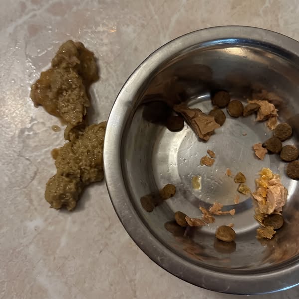 Coco murió con 6 años. Luna empezó a hacer lo mismo.