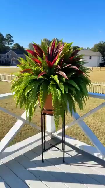 UV-Resistant Artificial Fern & Red Dracaena Decorative Plants – Full, Lush & Fade-Resistant!