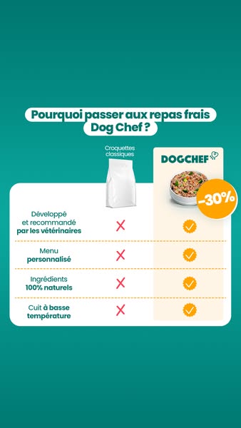 Offre limitée -30%