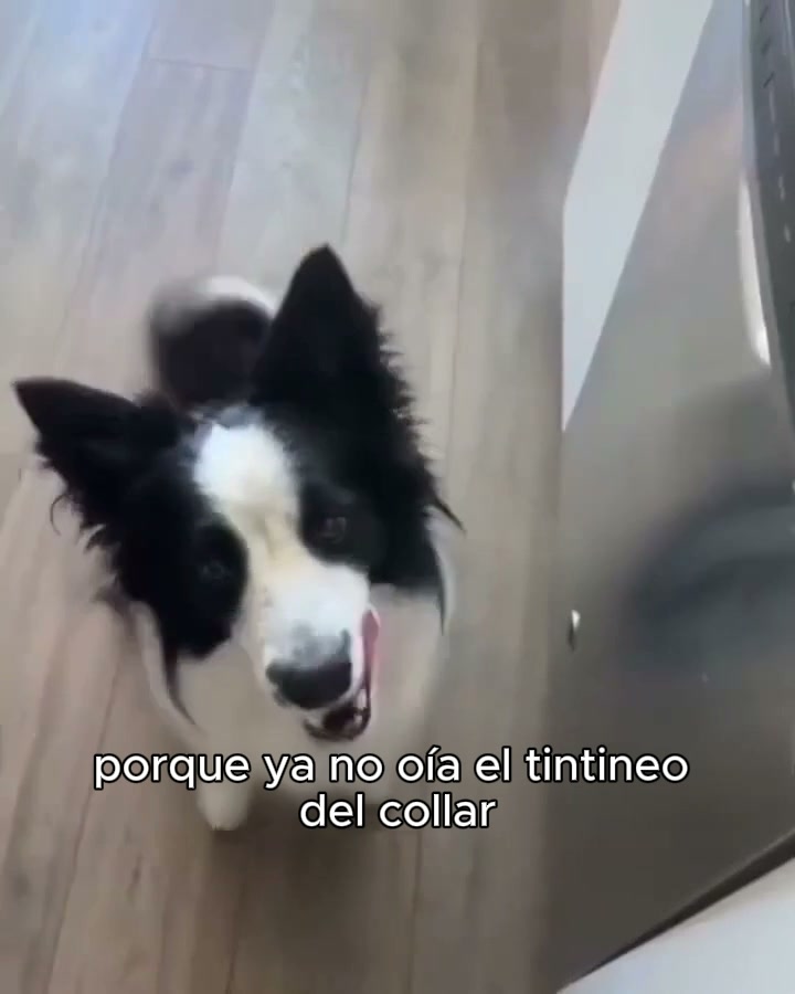 Nunca fue solo una alergia. Era la barrera cutánea.