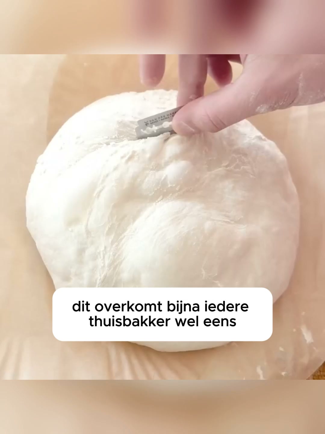 Vandaag 2 Halen 1 Betalen!