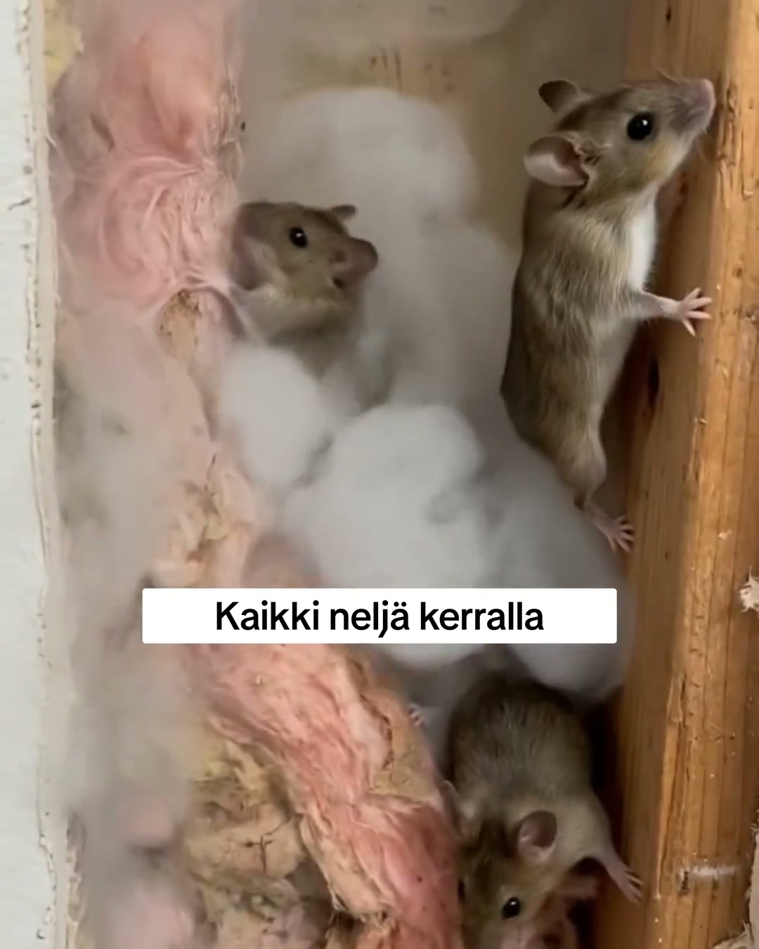 Yli 16 000 tyytyväistä asiakasta