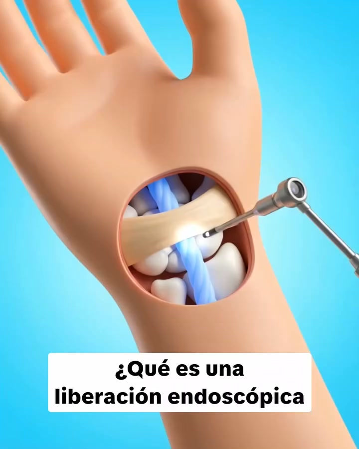 Anúncio de Wwbsoz Budget