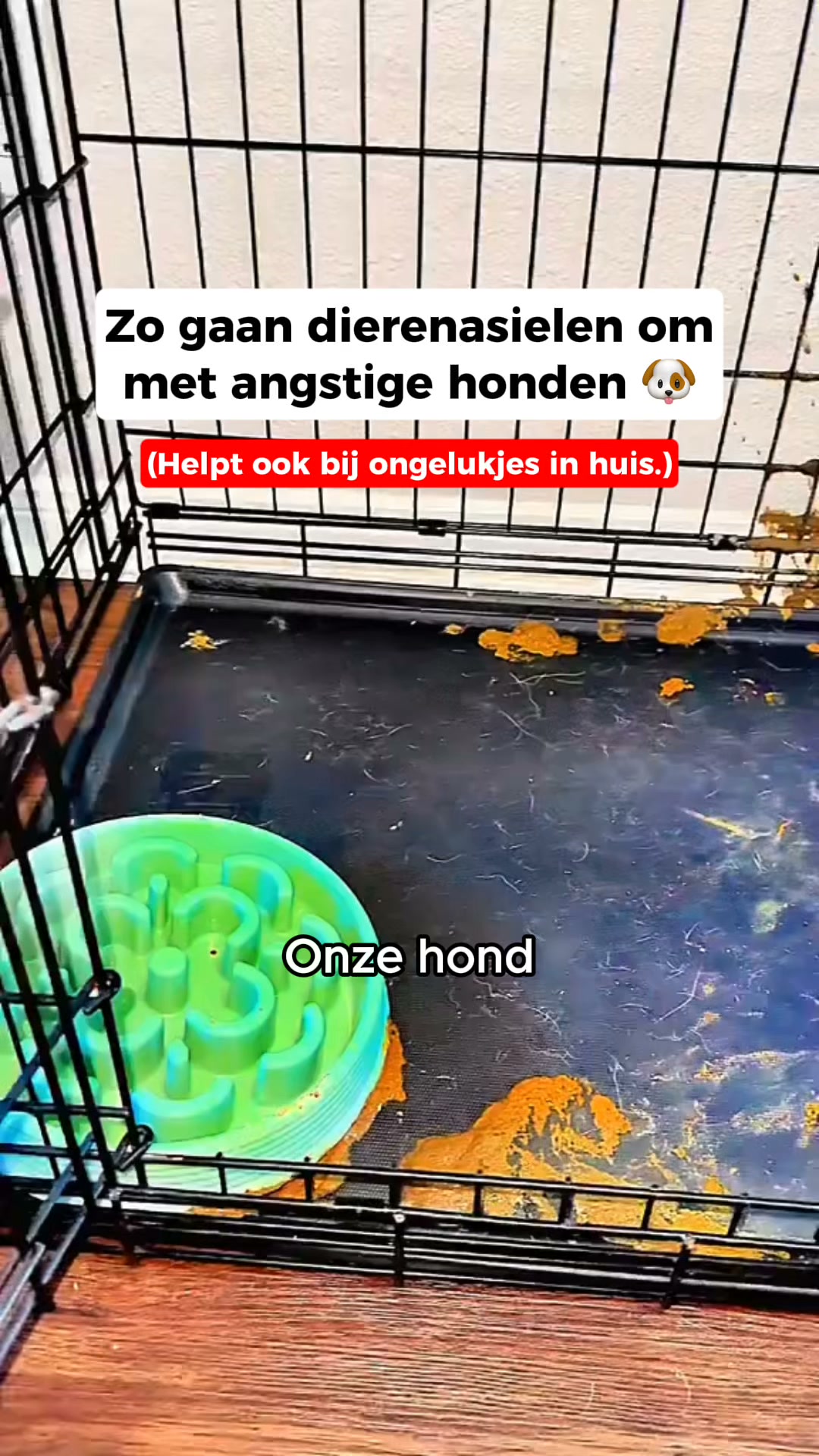 Bespaar nu 50% op Furrzie