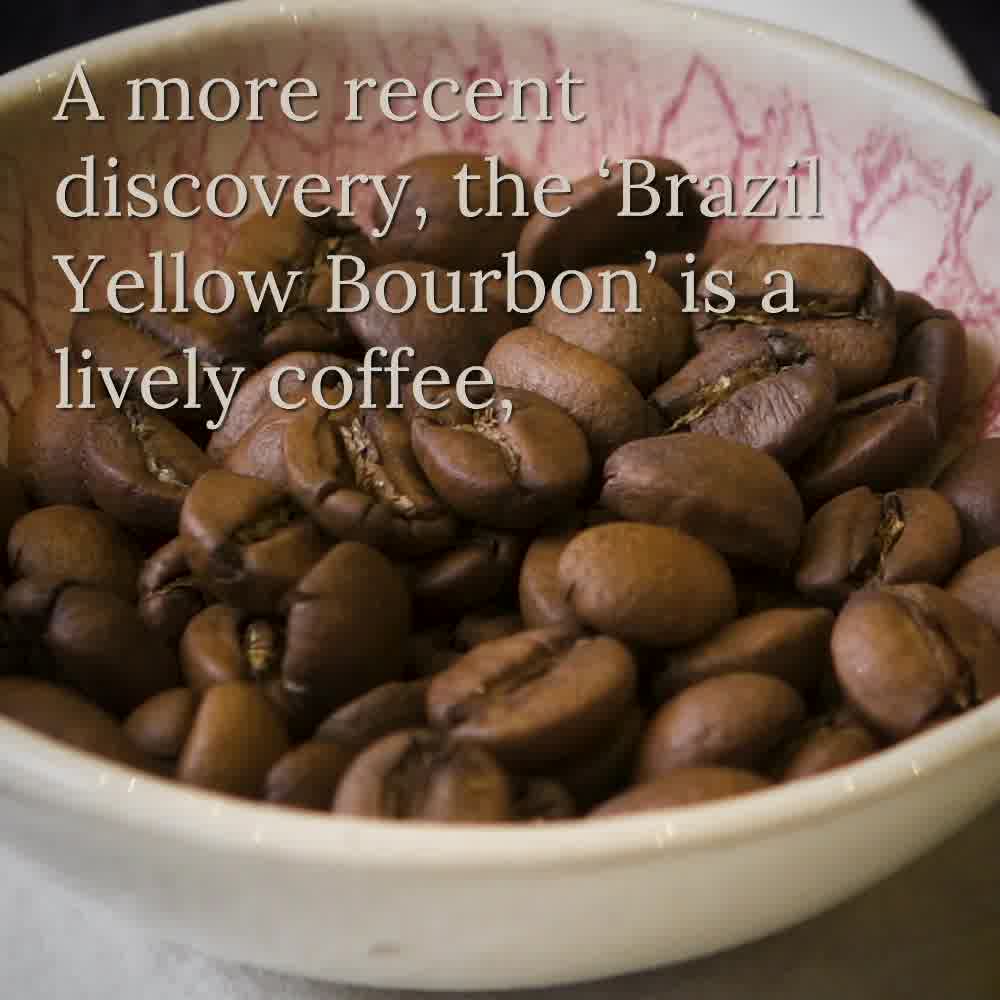 80 years of H. R. Higgins - Londons finest coffee merchants