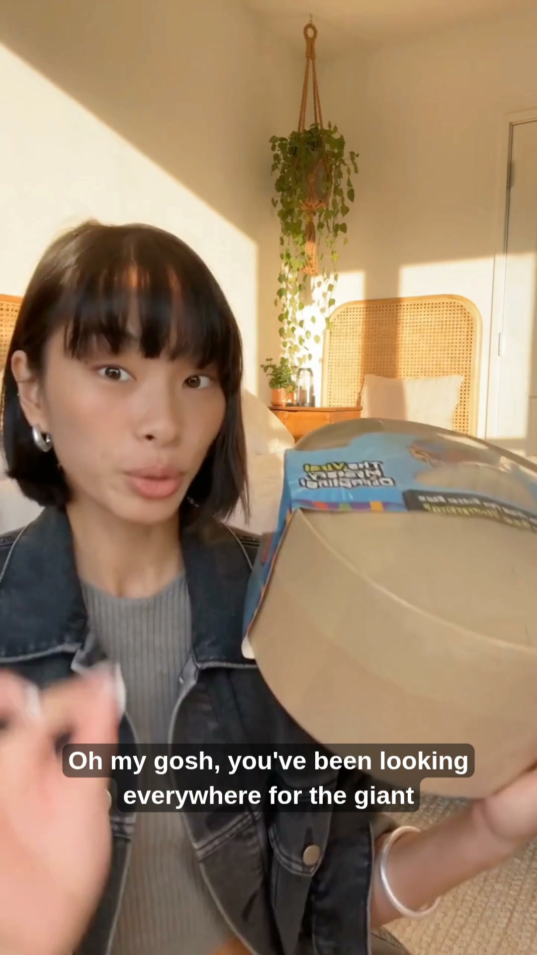 Which Mochi Will You Get?