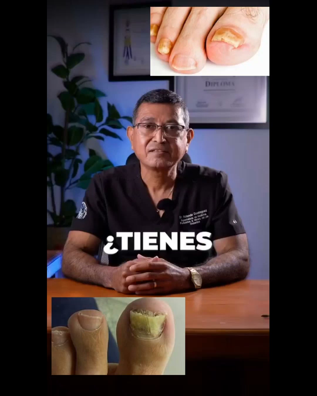 4.8 Reseñas