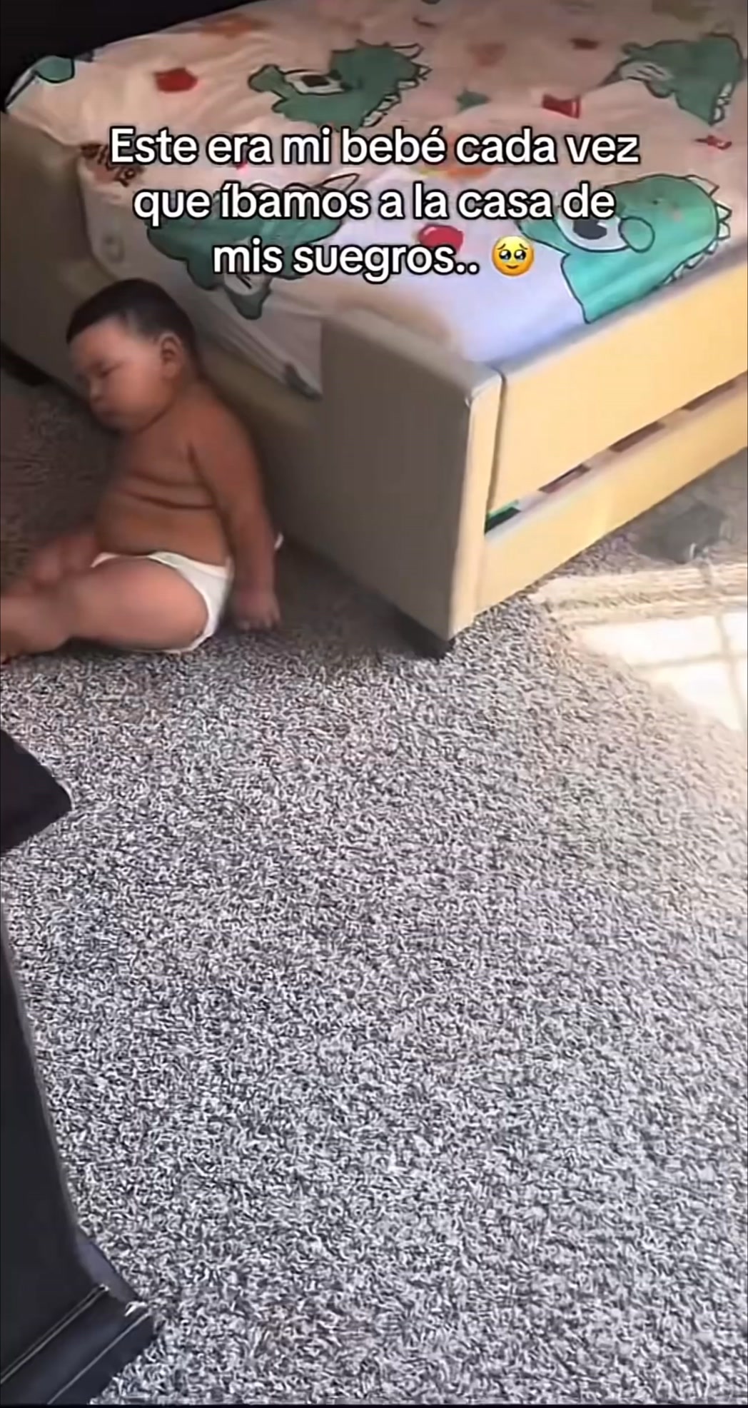 Envío gratis en 24h
