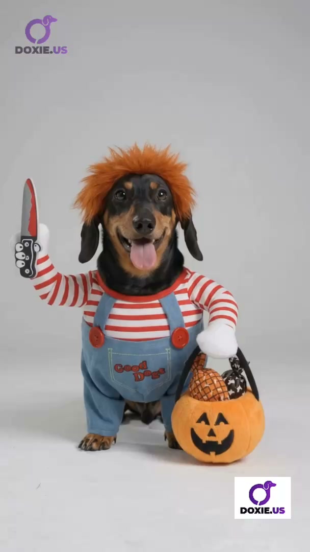 Anúncio de Doxie.us
