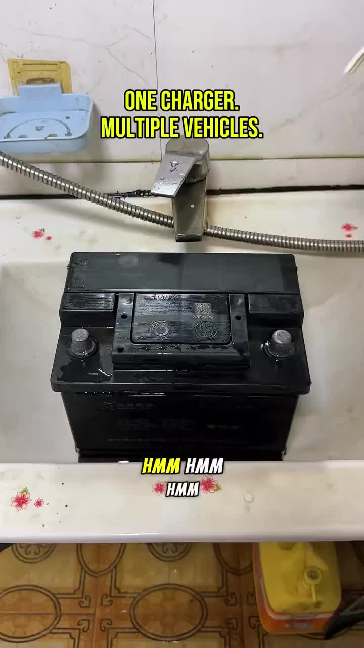 Professional Smart Charger