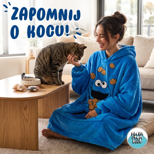 Kociary kochają wygodę!