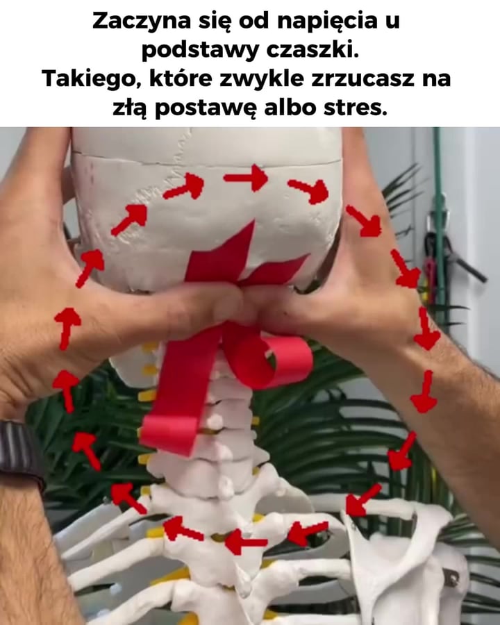 Posłuchaj, co mówią użytkownicy | Teraz -50%