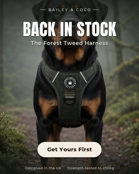 Forest Tweed — Back In Stock