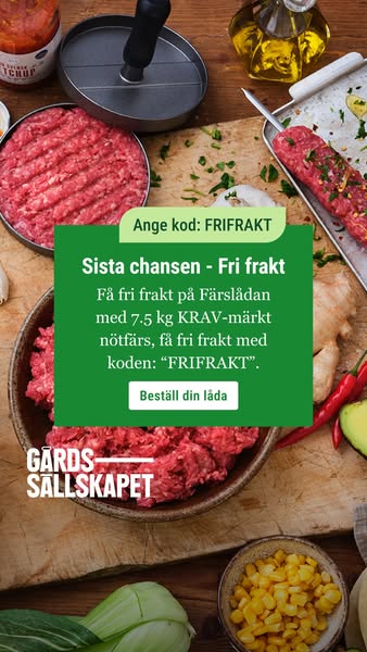 Just nu! Beställ med fri frakt
