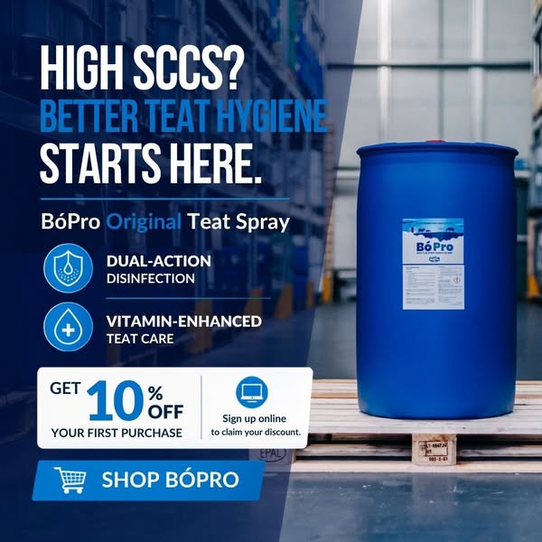 Better Teat Hygiene Starts Here