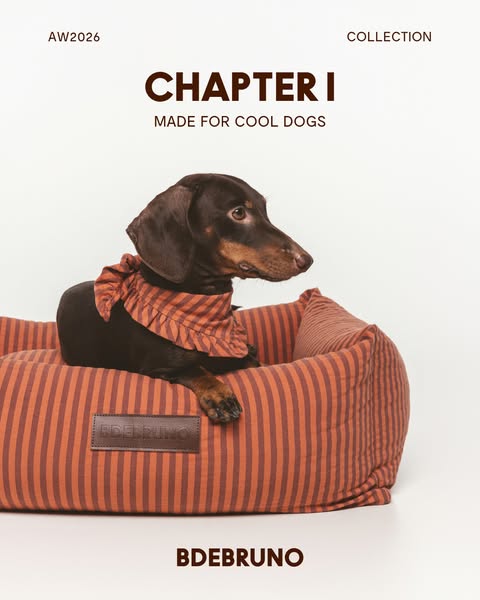 AW26 – Chapter I: new collection