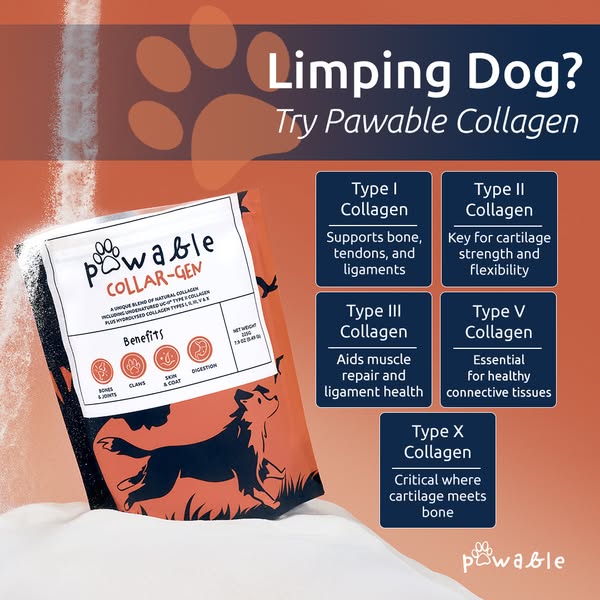Break Thru 'Multi-Collagen' for Dog's Joint Support