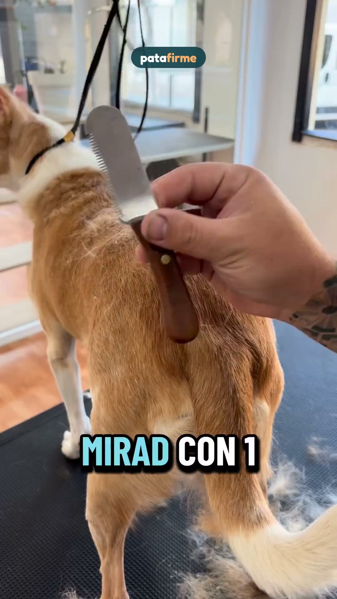Menos pelo por casa, sin cortarlo