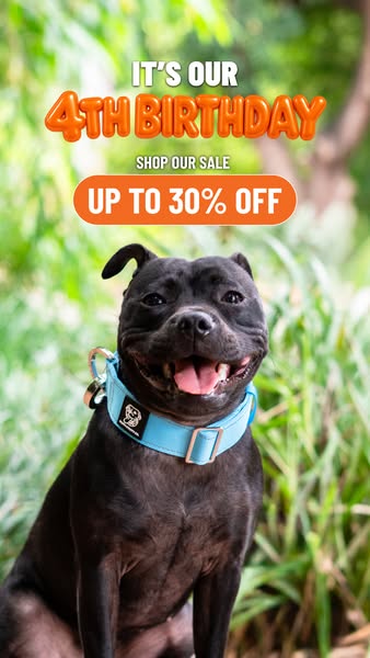 Still a very good reason to shop