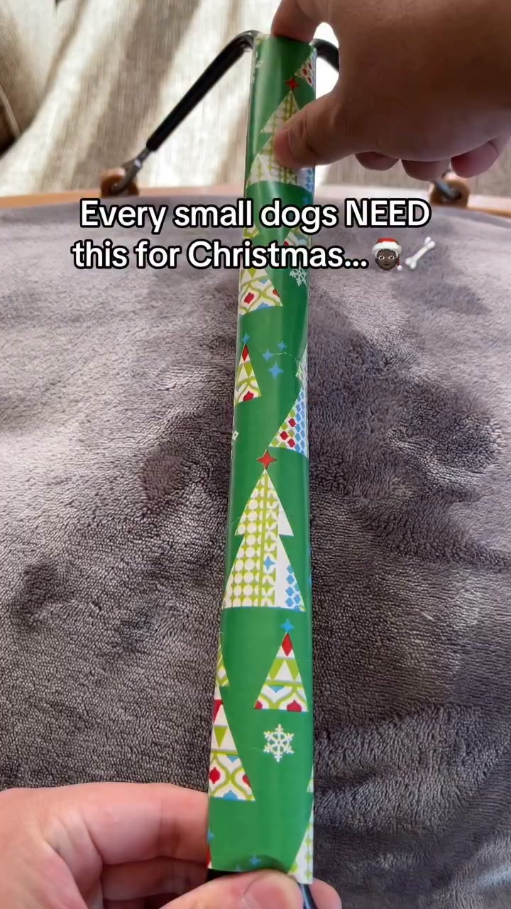 You Finally Found the Perfect Christmas Gift for Her