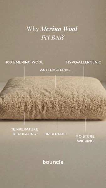 Why Merino Wool?