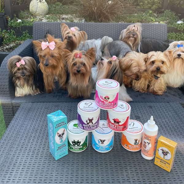 Vets Love It. Dogs Love It. Owners Trust It.