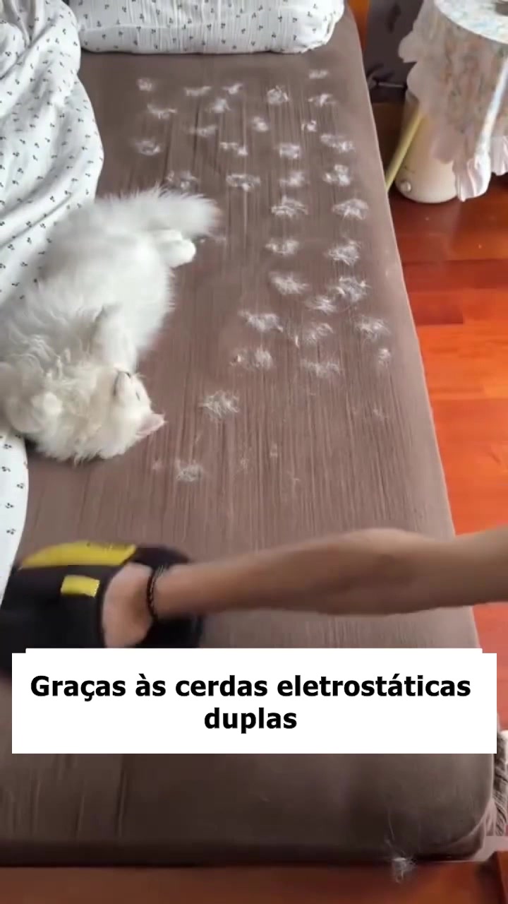 Entrega rápida 24/48h + Pagamento à cobrança