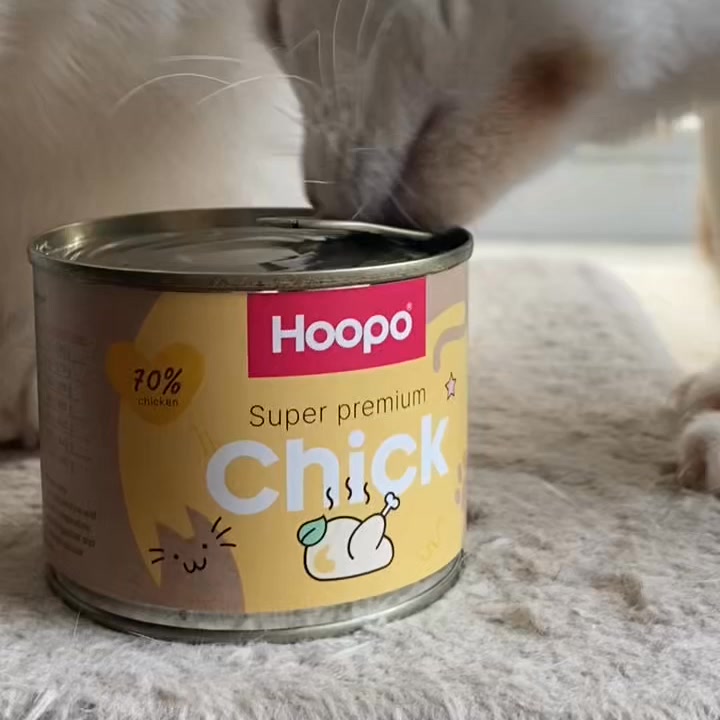 Geef je kat wat hij mist