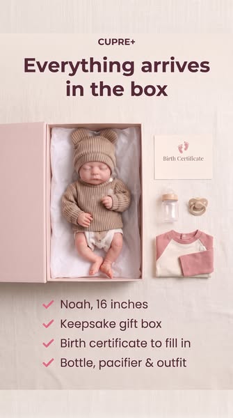 Noah + Everything He Needs