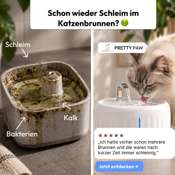 Willst du deine Katze wirklich daraus trinken lassen?