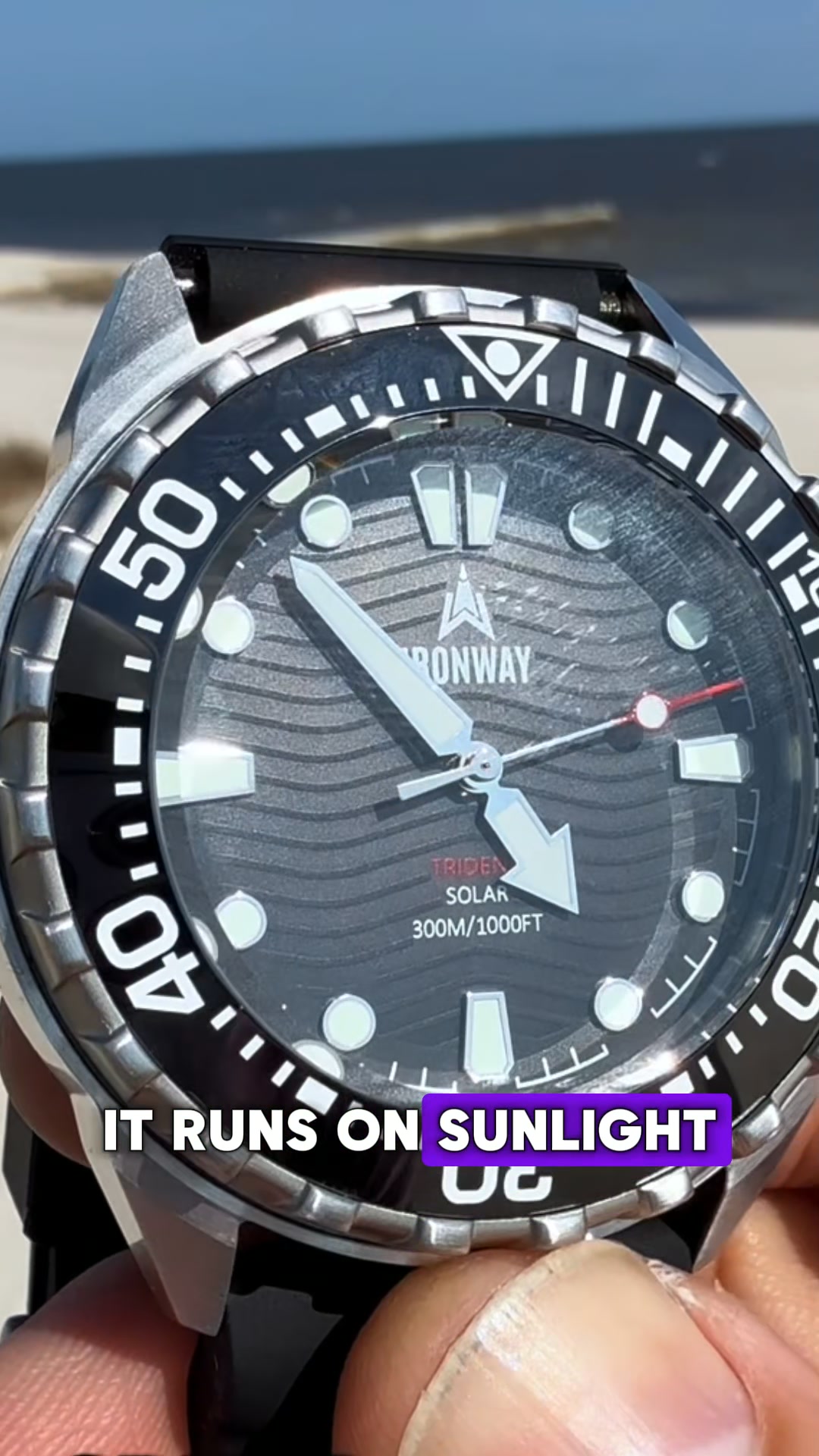 The Professional's 300M Diver Watch