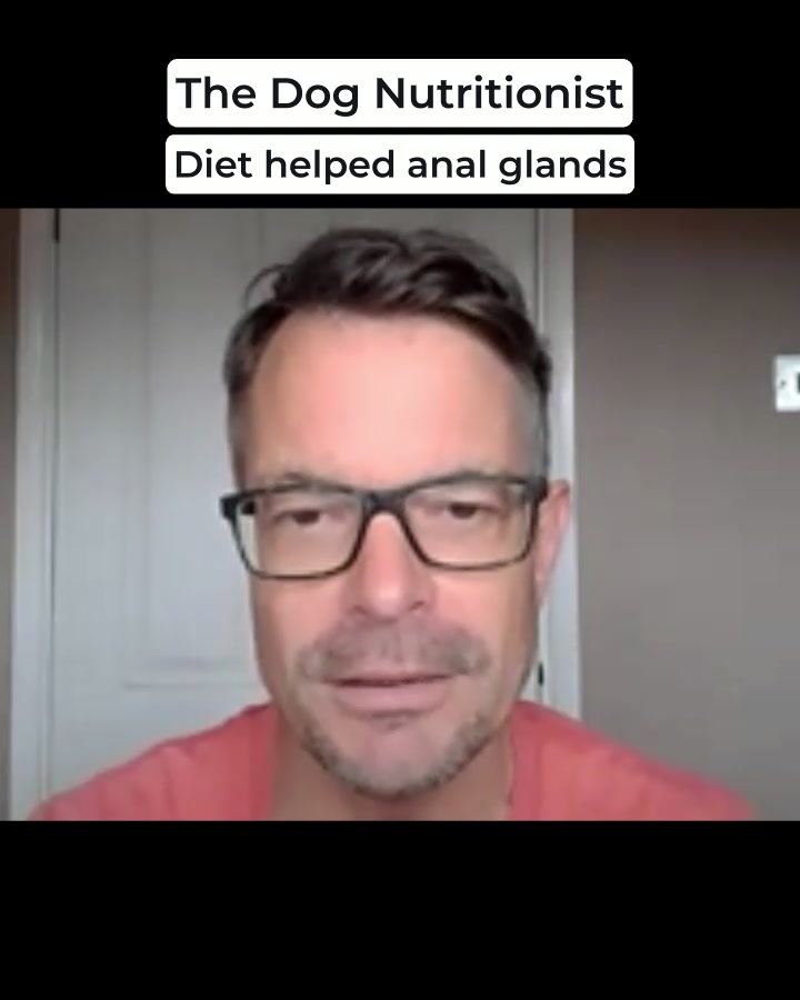 The Right Diet = A Happy Dog