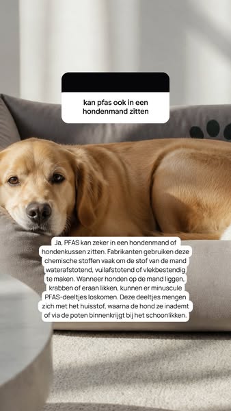 Hondenmand zonder PFAS